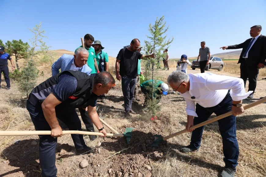 Kayseri’de Zabıta Haftası etkinliğinde 800 fidan toprakla buluşturuldu