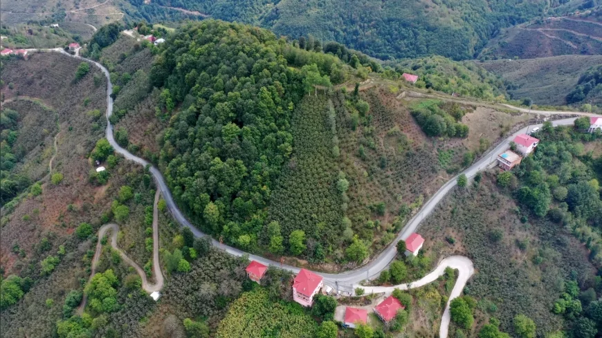 Ordu Ünye Pelitliyatak’ta 6 kilometrelik yol ağı asfalt ile yenileniyor