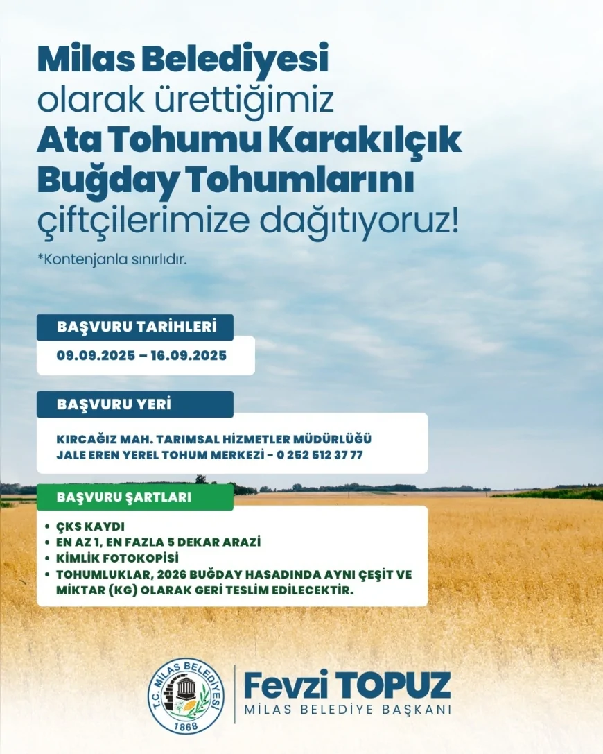 Milas Belediyesi üreticilere karakılçık buğday tohumu desteği için başvuruları başlattı