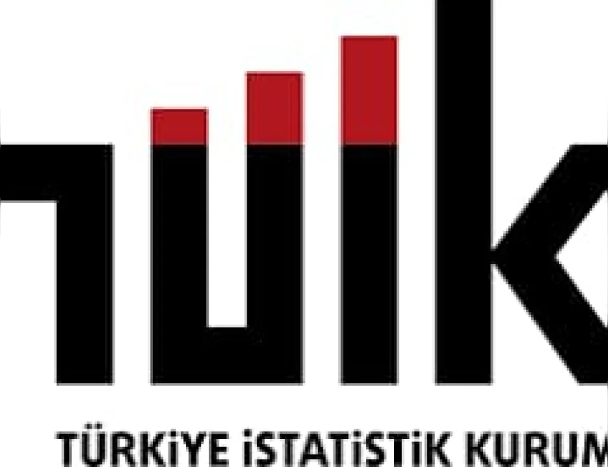 TÜİK: Türkiye’de ücretli çalışan sayısı Temmuz 2025’te yıllık bazda yüzde 1,2 artış gösterdi