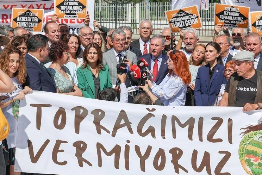 Milletvekili Gizem Özcan’dan Bakan Yumaklı’ya Akbelen sorusu: “Zeytin kesimi hukuk devleti ilkeleriyle bağdaşıyor mu”