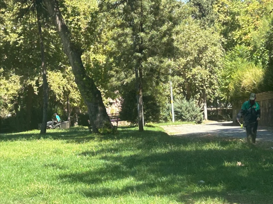 Efeler Belediyesi ekipleri Pınarbaşı Mesire Alanı’nda kapsamlı temizlik ve peyzaj çalışması yaptı