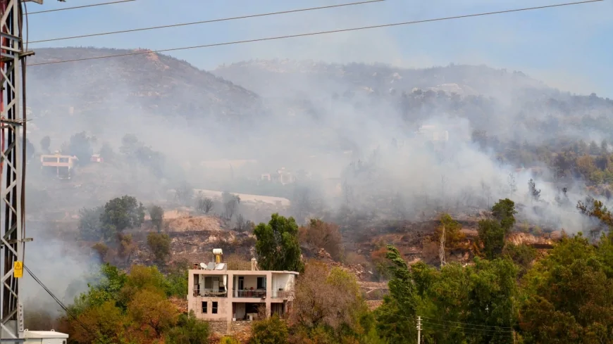 Antalya Alanya’daki orman yangınında 200 hektar alan zarar gördü, söndürme çalışmaları sürüyor