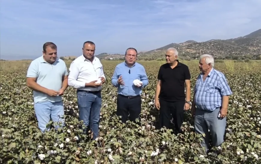 CHP’li Evrim Karakoz: “Pamuk fiyatı en az 50 lira olmalı, çiftçi desteklenmezse üretim bitecek”