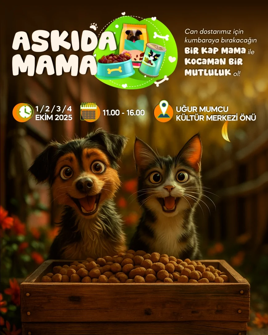 Yalova Belediyesi’nden sokak hayvanları için “Askıda Mama” etkinliği