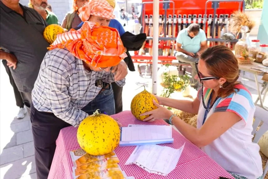 Çeşme’de üretim kültürü buluşması: 10. Ovacık Tarım ve Sakız Koyunu Festivali coşkulu etkinliklerle sona erdi