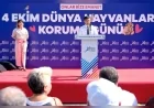 Güngör Geçer: “Sokak hayvanı sorunu sevgi ve işbirliğiyle çözülecek”