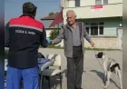 Düzce’de Sokak Hayvanlarına “Yerinde Sahiplendirme” Uygulamasıyla Yeni Bir Model: 175 Köpek Kırsalda Sahiplenildi