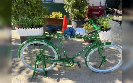 Bursa’da denizden toplanan atıklar sanat eserine dönüşüyor, Marmara Denizi için farkındalık artırılıyor