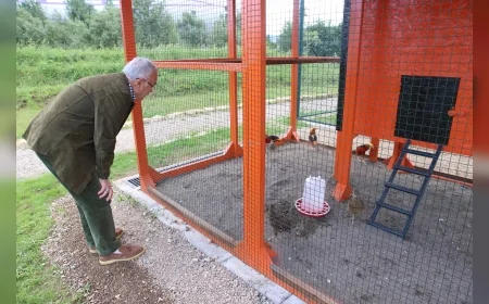 Başkan Mehmet Hilmi Güler: “Durugöl’ü beton tehdidinden kurtardık, doğayla insanı yeniden buluşturduk”