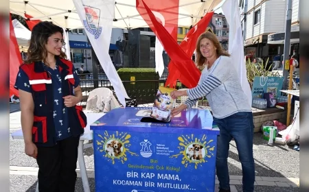 Yalova Belediyesi sokak hayvanları için "Askıda Mama" kampanyası başlattı