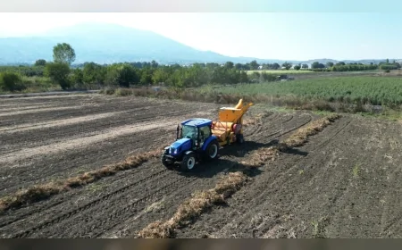 İnegöl’de tescilli Cerrah Kuru Fasulyesinde hasat başladı, belediye ücretsiz makine desteği sağlıyor
