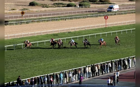 Yenimahalle Belediye Başkanlığı Koşusu’nda 1400 metrelik mücadelede zafer Shiroke’nin oldu