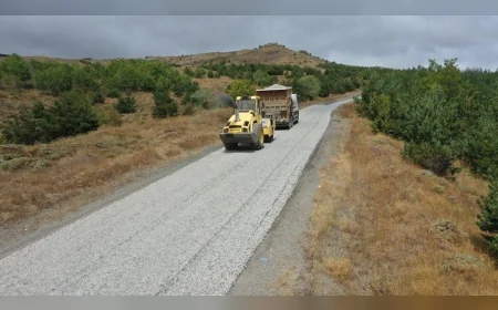 Ordu Mesudiye’de 200 kilometrelik yol asfalt ve betonla yenilenerek modern görünüme kavuştu
