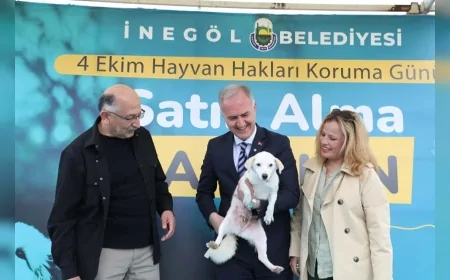 İnegöl’de 7200 m²’lik yeni hayvan yaşam alanı kuruluyor, kamu kurumları sahiplenme kampanyasına katıldı