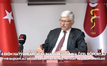 4 Ekim Hayvanları Koruma Günü’nde Eroğlu'ndan “Hayvanları korumak, geleceği korumaktır” vurgusu; merkezi yapı, güçlü mevzuat ve bütçe çağrısı