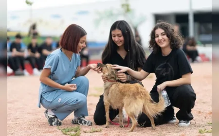 İzmir’de öğrenciler 4 Ekim Dünya Hayvanları Koruma Günü’nde sahipsiz hayvanlara kötü muamelenin bitmesi için çağrı yaptı