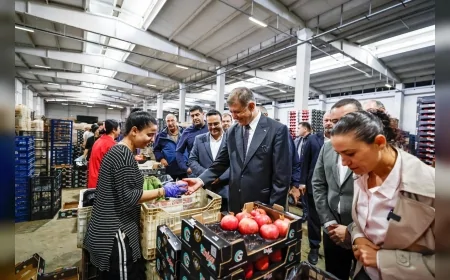 İzmir Büyükşehir Belediye Başkanı Cemil Tugay: "Gelecek çalışarak güzel olacak"