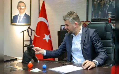 Buca Belediye Başkanı Görkem Duman: "Sokak hayvanlarını sahiplenelim" çağrısı yaptı