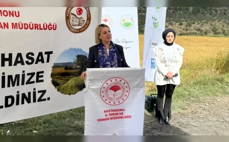 AK Parti Kastamonu Milletvekili Fatma Serap Ekmekci: “Tosya pirinci Türkiye’nin tarım bağımsızlığının simgesidir”