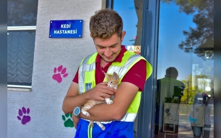 Mustafa Bozbey: "Sokak hayvanlarının huzurlu bir yaşam sürmesi için tüm imkanlarımızı seferber ediyoruz"