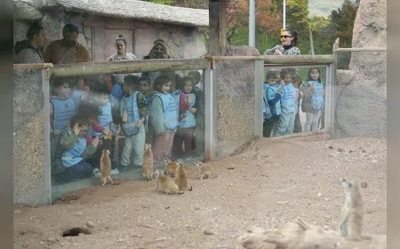 Eskişehir’de Minikler Hayvanat Bahçesinde Doğayla Buluştu: 4 Ekim Etkinliği Renkli Görüntülere Sahne Oldu
