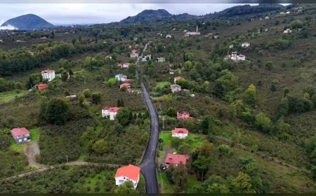 Ordu Büyükşehir, Ulubey Doğlu Mahallesi’ne sıcak asfaltla konforlu ulaşım sağladı