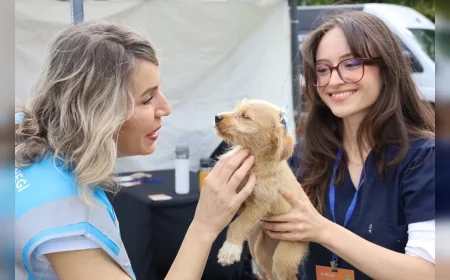 Bursa’da Can Dostlar Yeni Yuvalarına Kavuştu: Yuvalandırma Şenliğinde Onlarca Hayvan Sahiplendirildi
