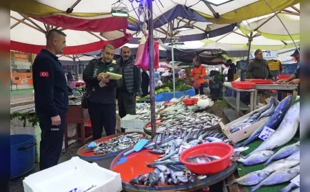 Eskişehir’de balık satış yerlerine ortak denetim: Ruhsatsız işletmelere ceza kesildi