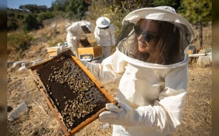 Bornova’da Bal Hasadı Heyecanı: “Doğayı koruyarak üretimi büyütüyoruz”