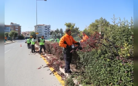 Eskişehir’de Sonbahar Bakımı Başladı: Parklarda Budama ve Bakım Çalışmaları Yoğunlaştı