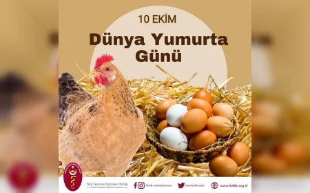 Ali Eroğlu: “Yumurta, doğal besinlerle dolu güçlü bir gelecek için stratejik bir gıdadır”