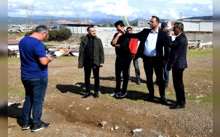 Bornova Belediyesi, atıl alanları üzüm bağına dönüştürüyor: Bornova Misketi yeniden toprakla buluşuyor