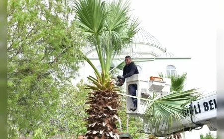 Onur Emrah Yıldız: “Çiğli’de hem doğayı koruyor hem de kenti güzelleştiriyoruz”