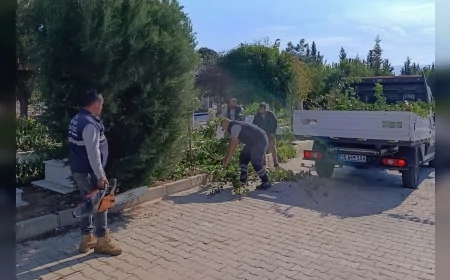 Efeler Belediyesi mezarlıklarda bakım ve temizlik çalışmalarını sürdürüyor