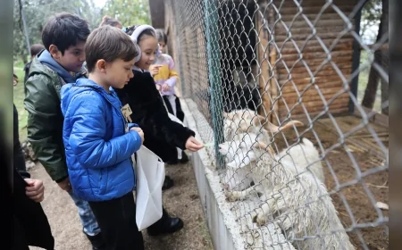 Bursa’da Minik Kaşifler Leylek Köyü Göl Evi’nde Bilim ve Doğayı Keşfetti
