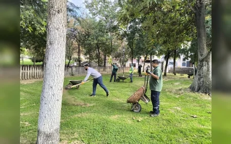 Manisa’da Sonbahar Hazırlığı: Yeşil Alanlarda 70 Bin Metrekarelik Bakım ve Yenileme Çalışması