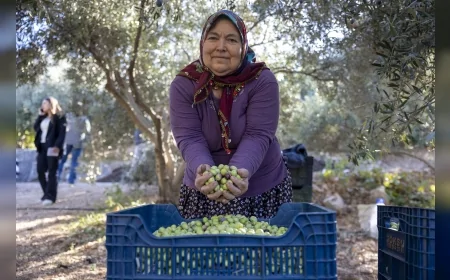 Mersin’de Kadın Üreticiler Büyükşehir Desteğiyle Tarımda Güçleniyor