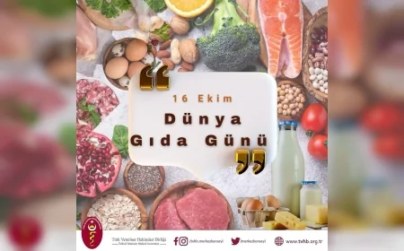 Türk Veteriner Hekimleri Birliği: “Sağlıklı Gıda, Sağlıklı Hayvandan Elde Edilir”