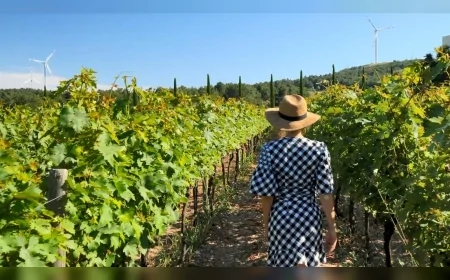 İzmir, Avrupa’nın Bağcılık Mirasını Koruyan Iter Vitis Rotaları Ağı’na Katıldı