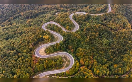 İnegöl’de Sonbahar Renk Cümbüşü: Yeşil, Yerini Sarı ve Turuncuya Bıraktı