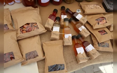 Efes Tarlası Yaşam Köyü’nde Üretici Pazarı 19 Ekim’de Kapılarını Açıyor