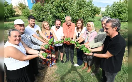 Mersin Büyükşehir’den Tropikal Hamle: Atıl Araziler Avokado Bahçesine Dönüştü
