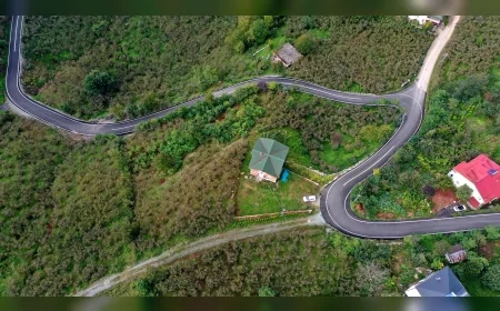 Altınordu Yıldızlı Mahallesi Modern Ulaşımla Buluştu: 2,4 Kilometrelik Yol Asfalt ve Çizgi Çalışmalarıyla Yenilendi