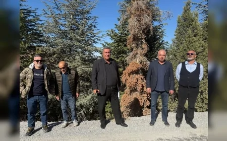 Ömer Fethi Gürer: “Torosların Bolkar Dağlarında Ormanlar Kuruyor, Sessiz Bir Felaket Yaşanıyor”