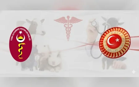 Yeni Ruhsat Harçları Veteriner Hekimlik Hizmetlerini Zora Sokuyor: TVHB “Düzenleme Geri Çekilmeli” Çağrısı Yaptı