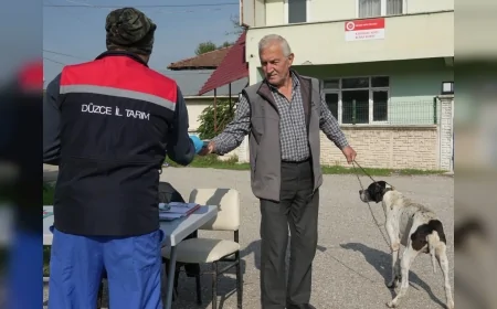 Düzce’de Sokak Hayvanlarına “Yerinde Sahiplendirme” Uygulamasıyla Yeni Bir Model: 175 Köpek Kırsalda Sahiplenildi