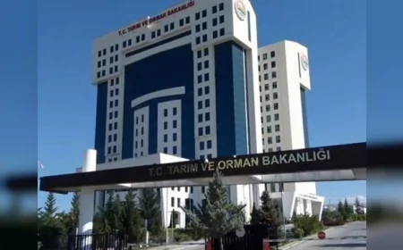 Milli Parklar Kanunu Teklifi Hakkında Bakanlıktan Açıklama: “Koruma Statüsü Değişmiyor, İddialar Gerçeği Yansıtmıyor”