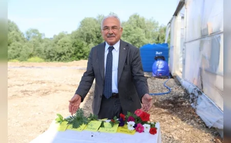 Ordu’nun Renkleri Kendi Toprağından Yetişiyor: Büyükşehir Belediyesi 750 Bin Çiçekle Kenti Güzelleştiriyor