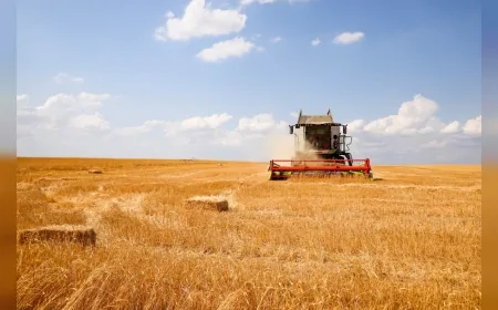 Eskişehir’de “Su, Tarım, Gelecek” Paneliyle Tarımın Yol Haritası Belirleniyor